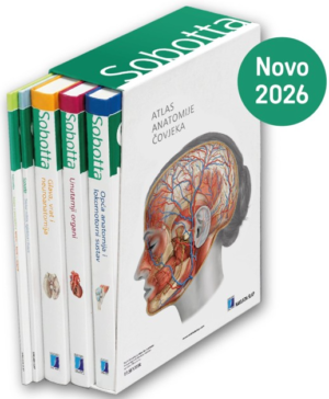 ATLAS ANATOMIJE ČOVJEKA